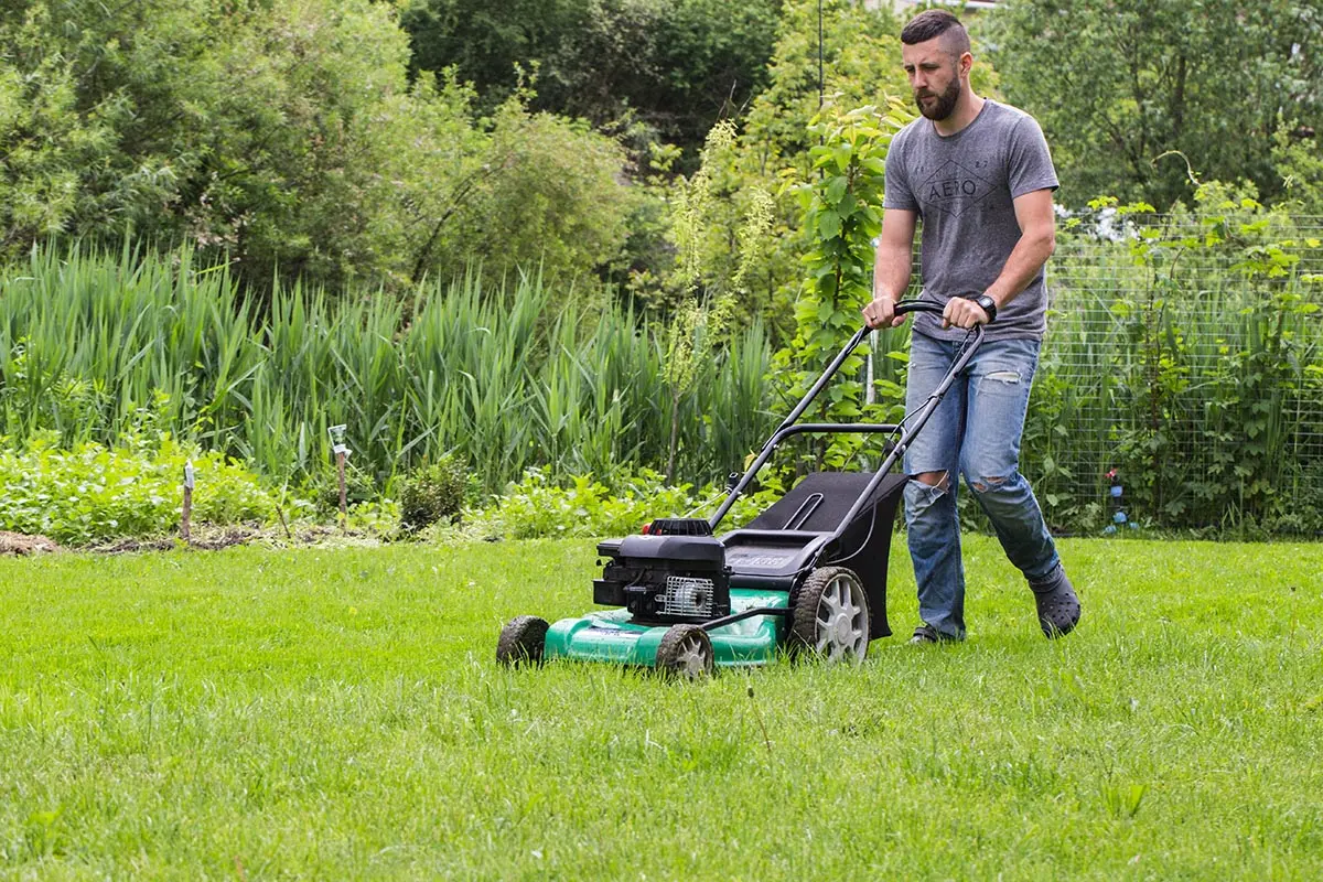 How To Mow A Lawn? Lawn Mower Review