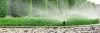 Sprinkler Systems Buying Guide
